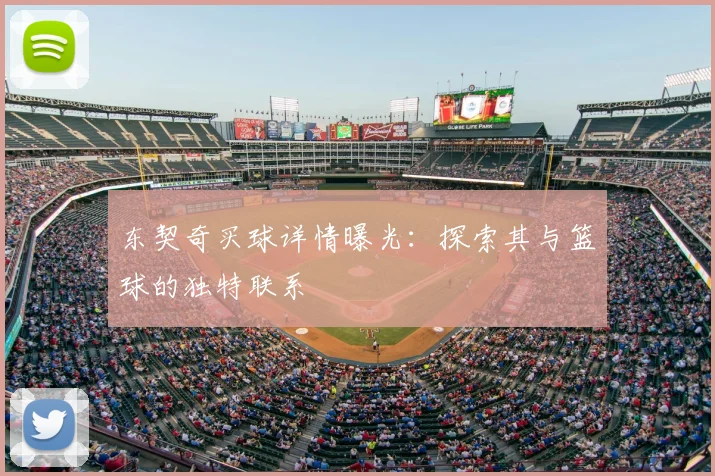 东契奇买球详情曝光:探索其与篮球的独特联系