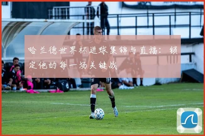 哈兰德世界杯进球集锦与直播:锁定他的每一场关键战